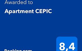 Apartment Cepic