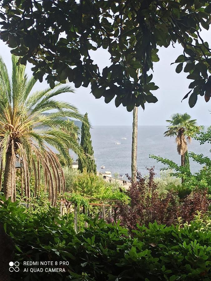Apartment Cepic Herceg Novi Exterior foto
